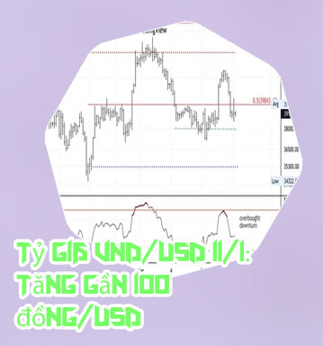 Gi&aacute; btc usd